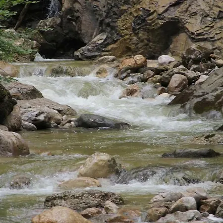 Appartement Dachstein