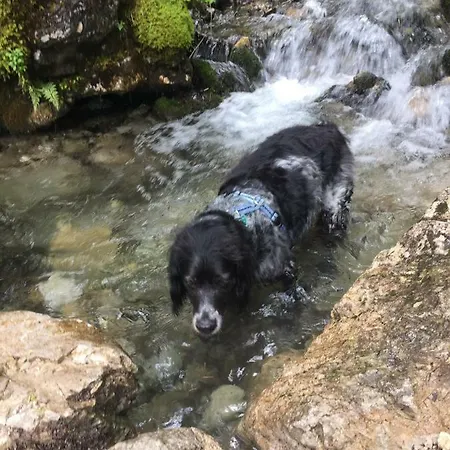 Dachstein * 帕斯格许特路旁鲁斯巴赫