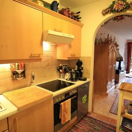 Dachstein 公寓 帕斯格许特路旁鲁斯巴赫