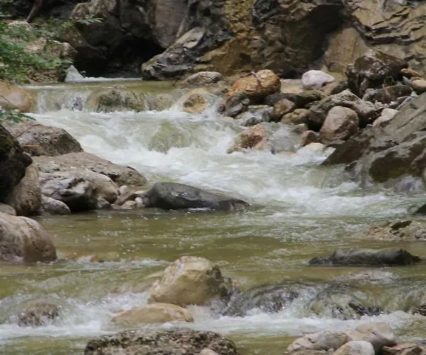 Apartamento Dachstein